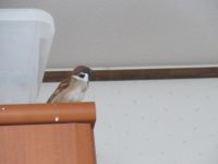 IMG_0746